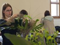 BRNĚNSKÁ RŮŽE 2011 –  fotogalerie ze soutěže